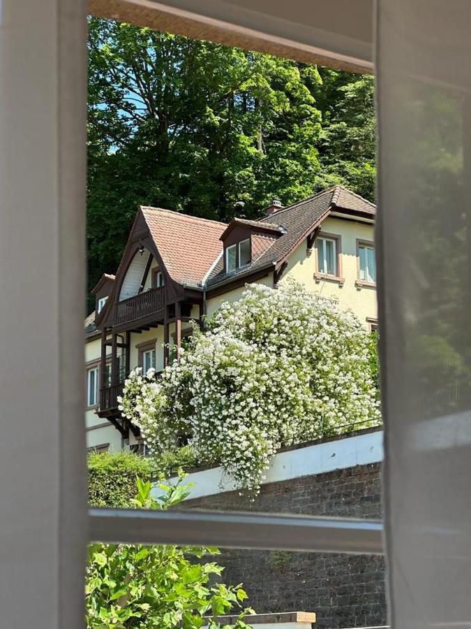 Burgfreiheit Heidelberg Exterior foto